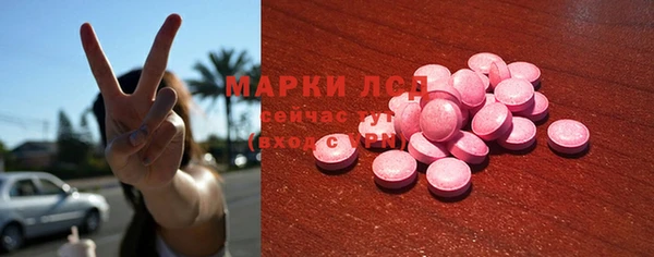 прущий лед Алзамай